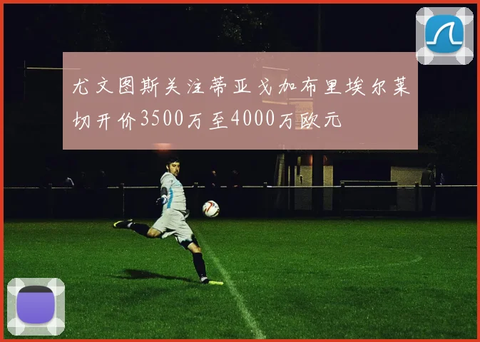 尤文图斯关注蒂亚戈加布里埃尔莱切开价3500万至4000万欧元